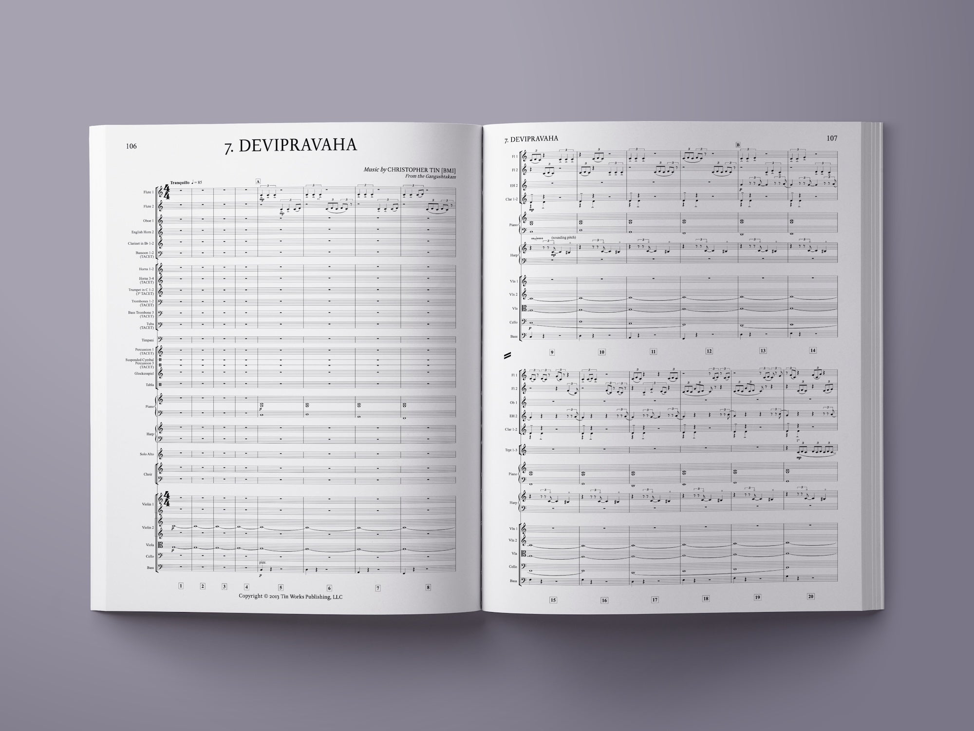 Signed Study Score - The Drop That Contained the Sea – Christopher Tin